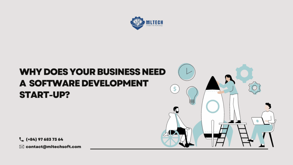 Why does your business need a software development startup?